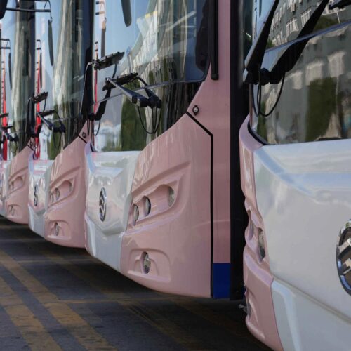 Bermuda buses lined up