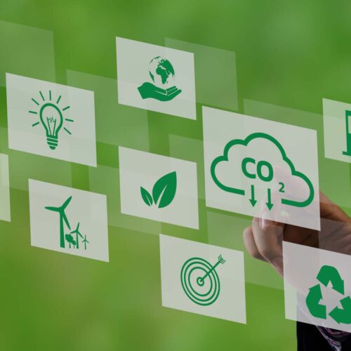 carbon credit businesses